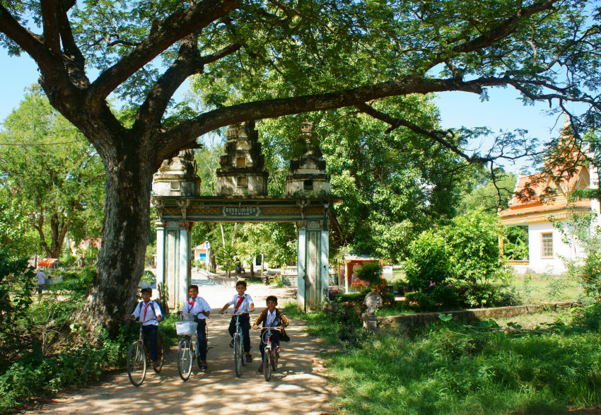 The Top 12 Benefits of Trees to the Environment