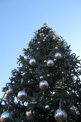 The Unique History of Christmas Trees in Canada