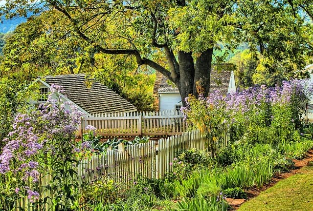 garden flowers