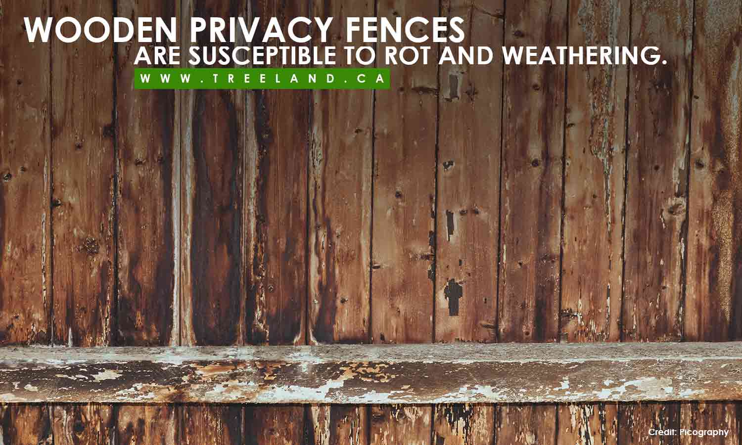 Wooden privacy fences are susceptible to rot and weathering.