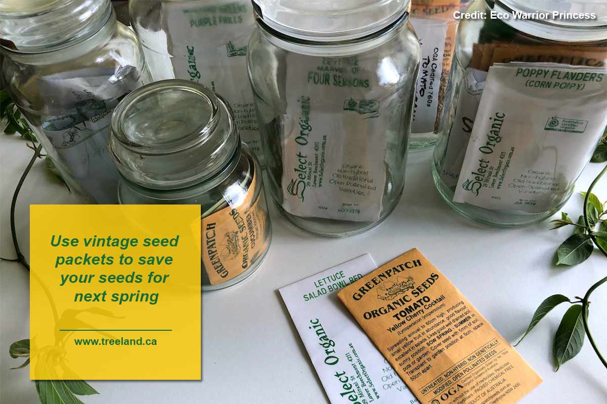 Use vintage seed packets to save your seeds for next spring