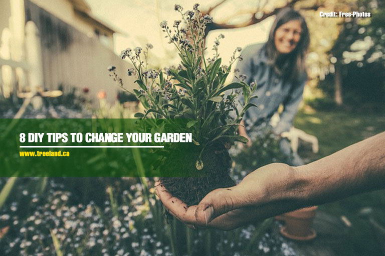 8 Epic DIYs That Will Change the Way You Garden