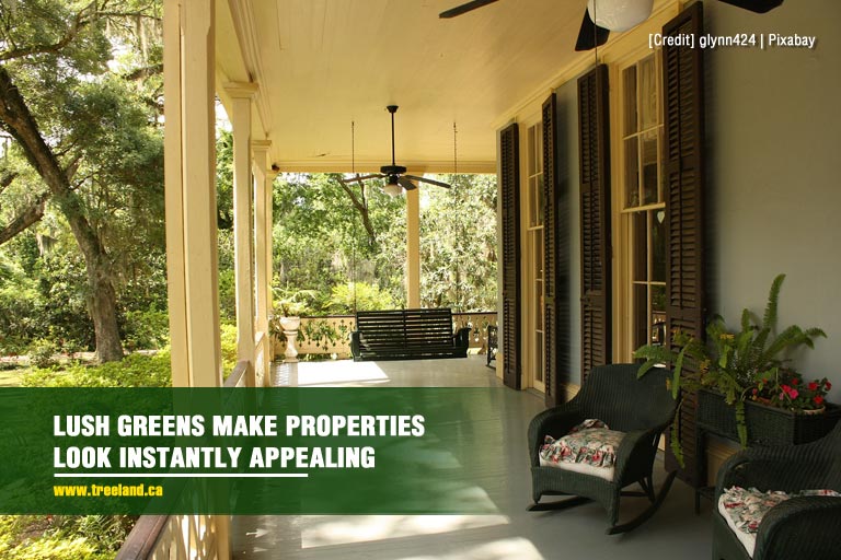 Lush greens make properties look instantly appealing