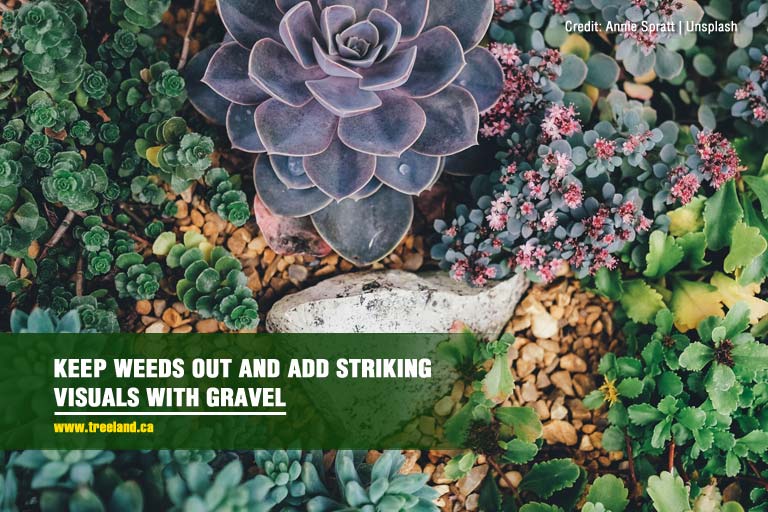 Keep weeds out and add striking visuals with gravel