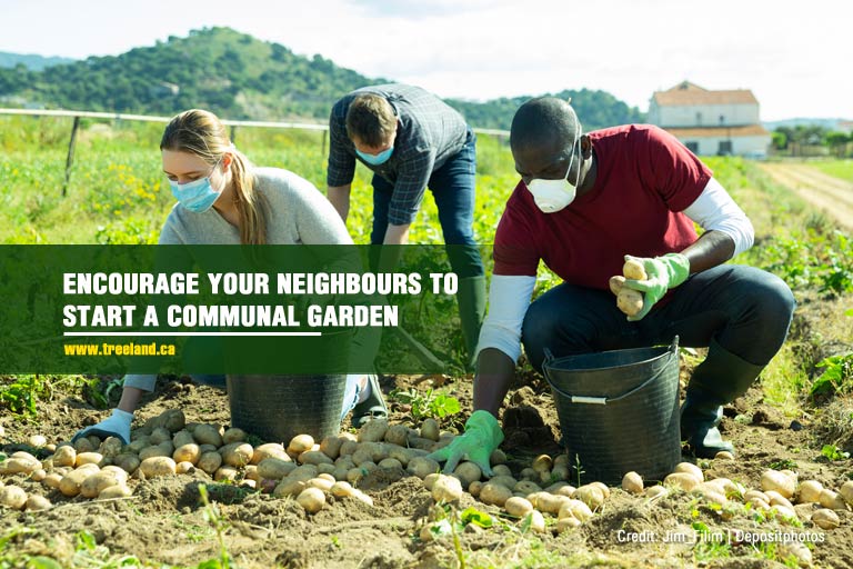 Encourage your neighbours to start a communal garden