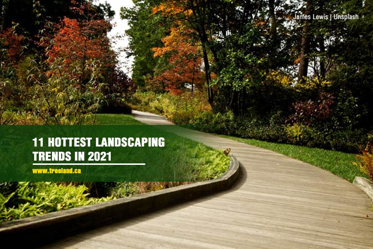 11 Hottest Landscaping Trends in 2021