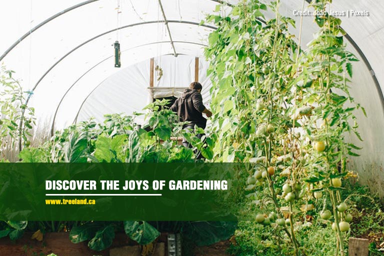 Discover the joys of gardening