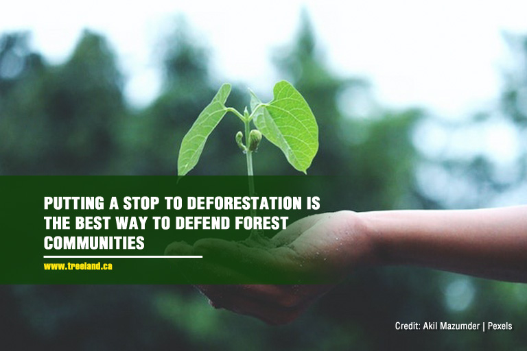 Putting a stop to deforestation is the best way to defend forest communities