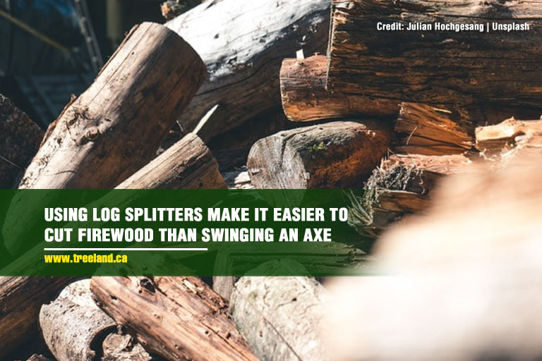 Using log splitters make it easier to cut firewood than swinging an axe