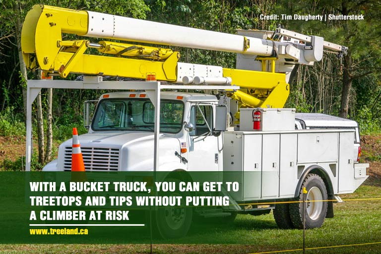 With a bucket truck, you can get to treetops and tips without putting a climber at risk 