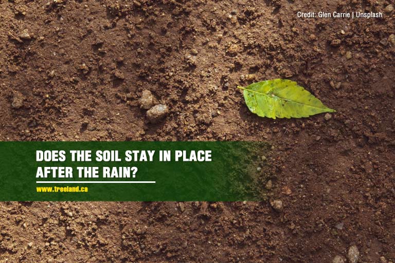 Does the soil stay in place after the rain?