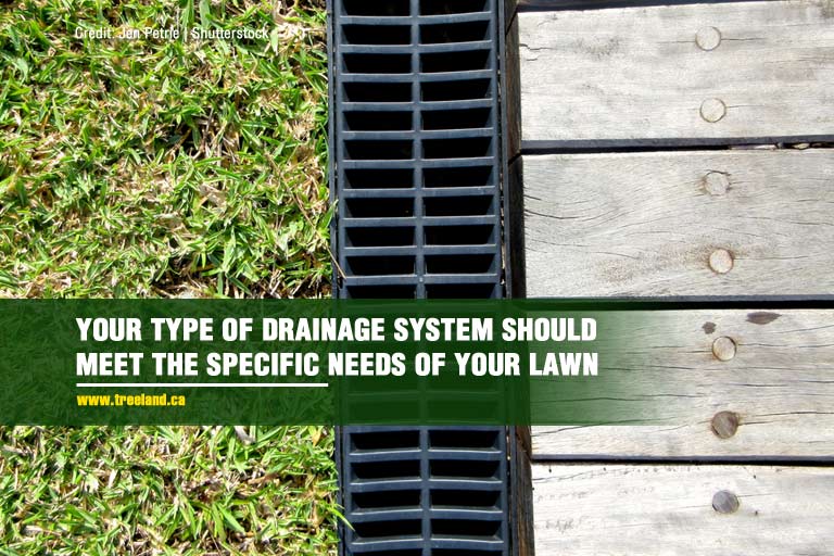 Your type of drainage system should meet the specific needs of your lawn