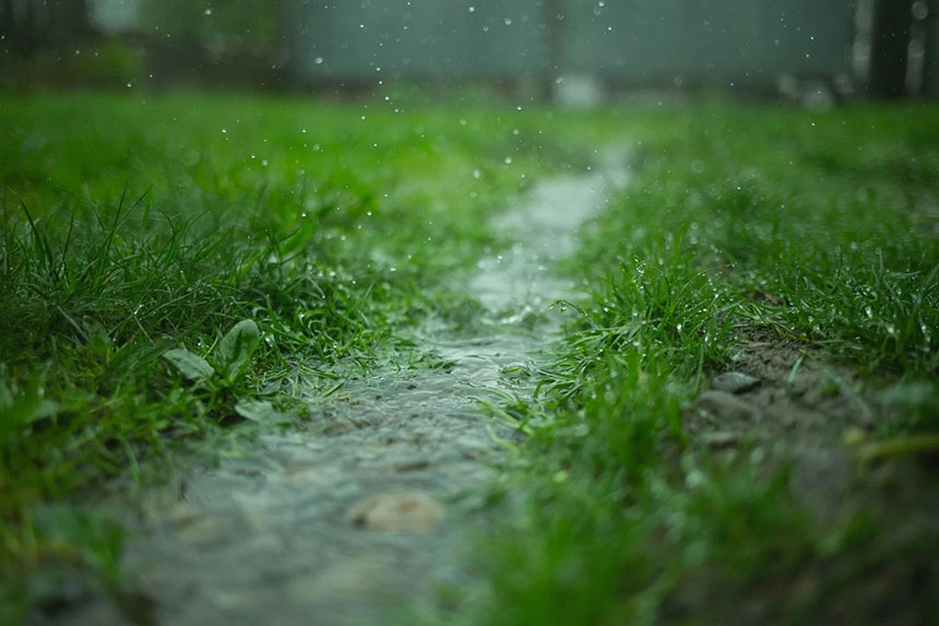 How to Improve the Drainage in Your Lawn