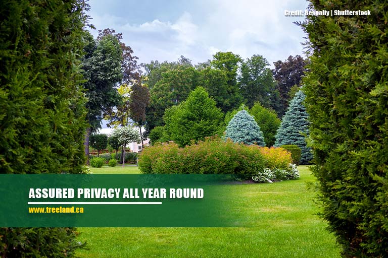 Assured privacy all year round