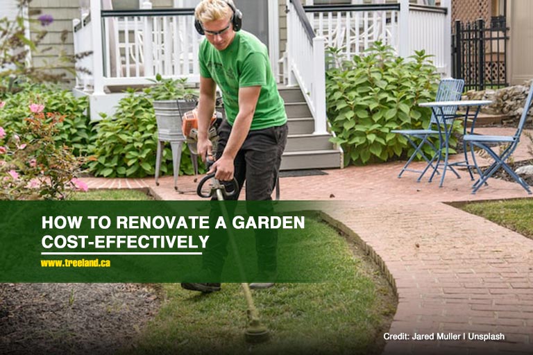 How to Renovate a Garden Cost-Effectively