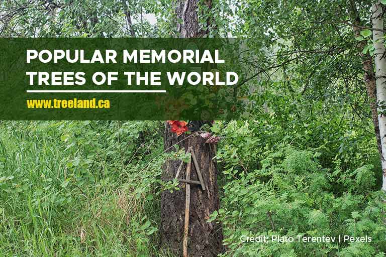 Popular Memorial Trees of the World