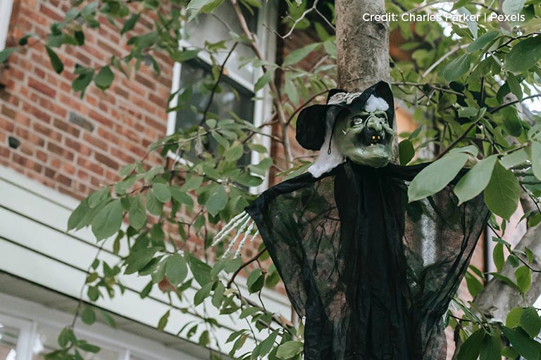 15 Tree Safety Tips During Halloween Celebrations