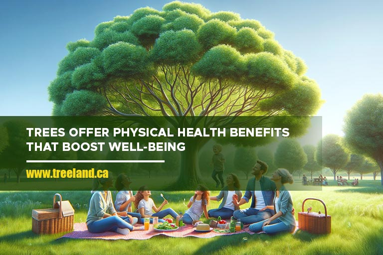 Trees offer physical health benefits that boost well-being