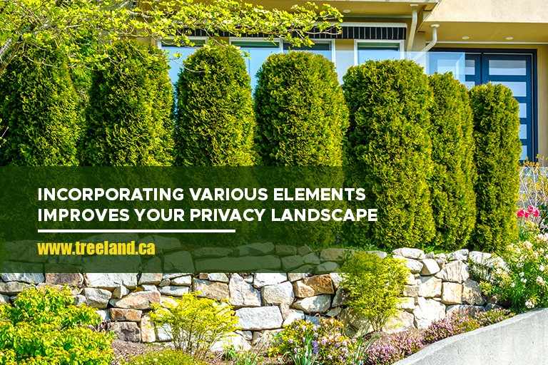 Incorporating various elements improves your privacy landscape design