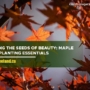 Sowing the Seeds of Beauty: Maple Tree Planting Essentials