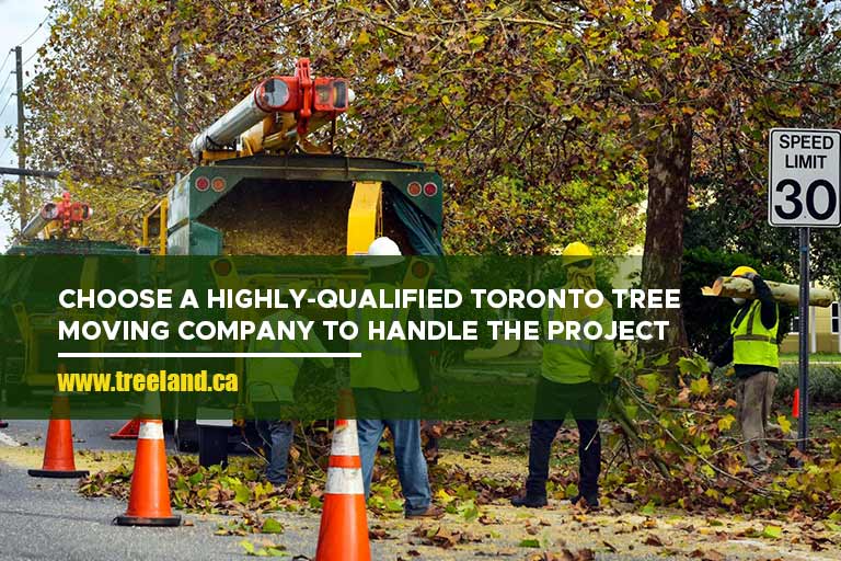 Choose a highly-qualified Toronto tree moving company to handle the project