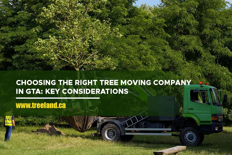 Choosing the Right Tree Moving Company in GTA: Key Considerations