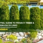 Essential Guide to Privacy Trees & Mississauga Bylaws