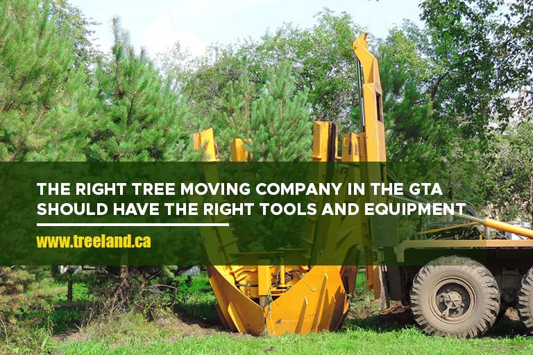 The right tree moving company in the GTA should have the right tools and equipment