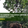When to Consider Tree Moving Services: A GTA Homeowner’s Guide