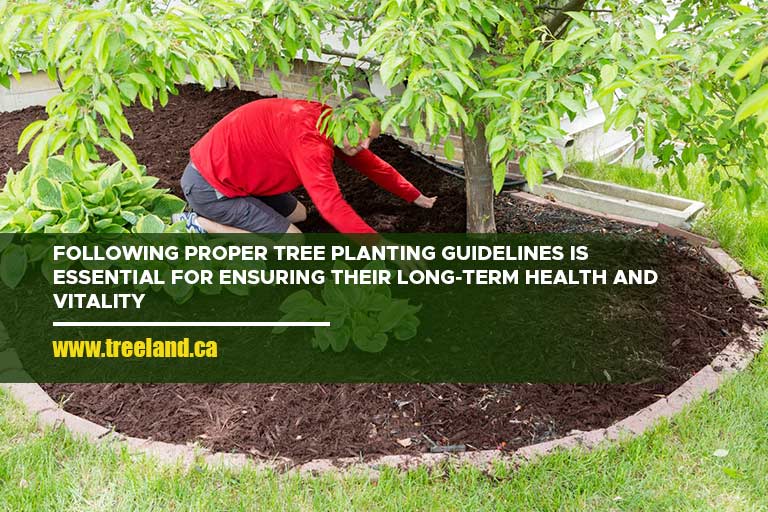 Following proper tree planting guidelines is essential