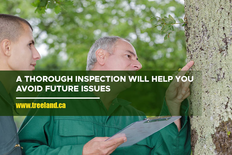 A thorough inspection will help you avoid future issues