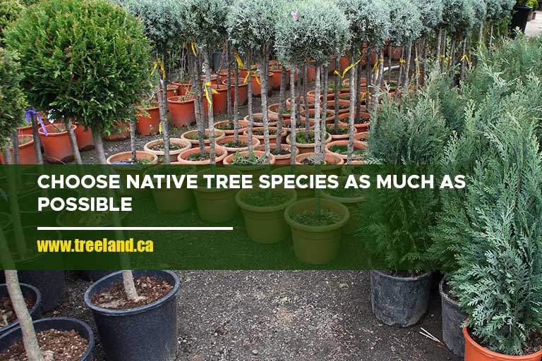 Choose native tree species as much as possible