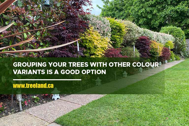 Grouping your trees with other colour variants is a good option