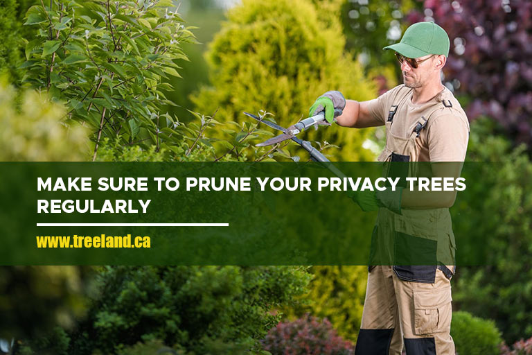 Make sure to prune your privacy trees regularly