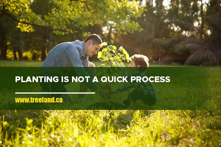 Planting is not a quick process