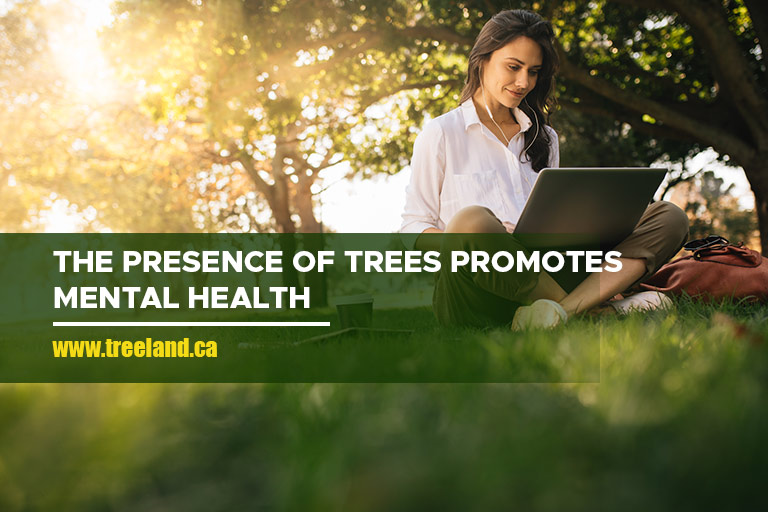 The presence of trees promotes mental health