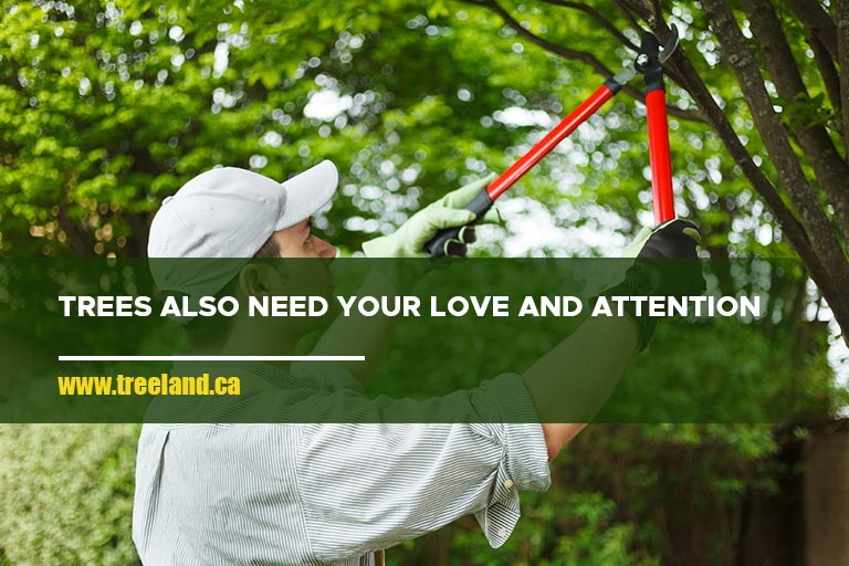 Trees also need your love and attention