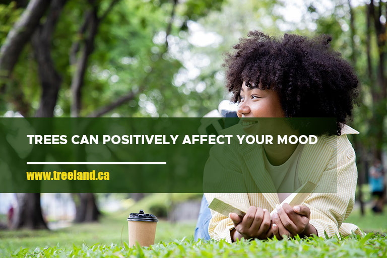 Trees can positively affect your mood