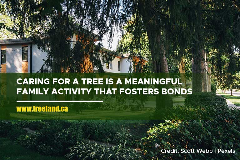 Caring for a tree is a meaningful family activity that fosters bonds