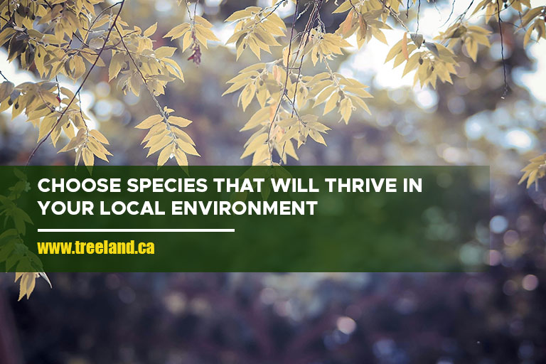 Choose species that will thrive in your local environment