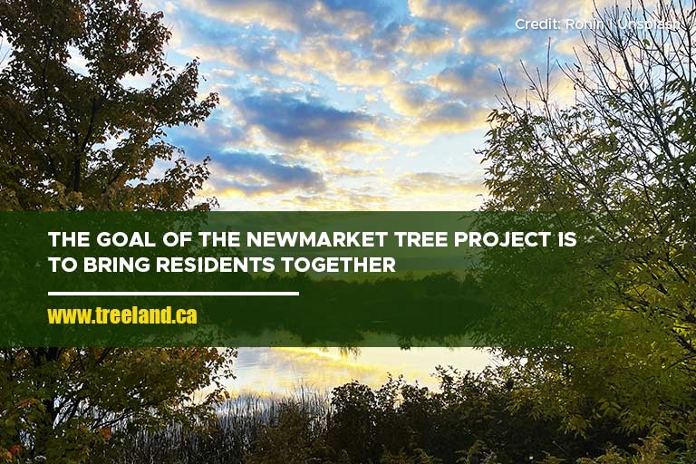 The goal of the Newmarket Tree Project is to bring residents together