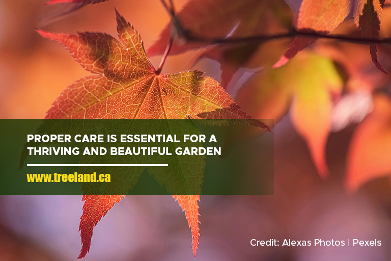 Proper care is essential for a thriving and beautiful garden.