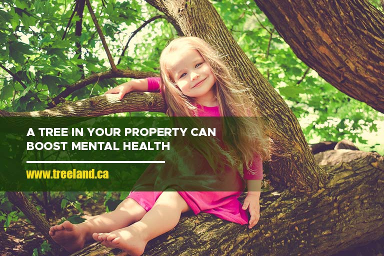 A tree in your property can boost mental health