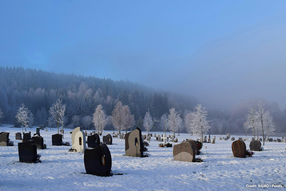 Selecting the right trees for your cemetery involves several considerations