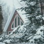 Why Winter is the Perfect Time to Invest in Privacy Trees for Your Property