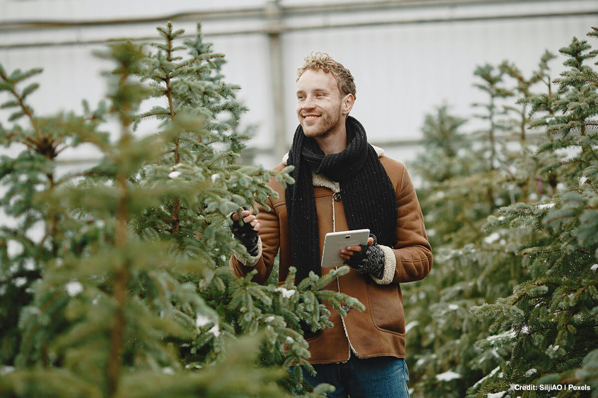 Winter is often overlooked as a time for planting trees