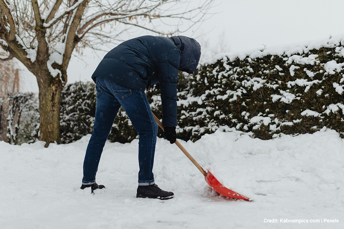 Several processes are involved during winter tree installation