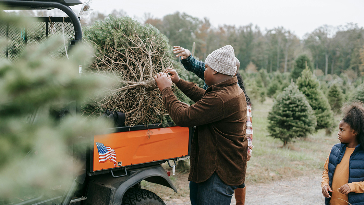 Stay Ahead of the Spring Rush: Schedule Your Winter Tree Installation Today