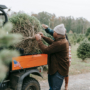 Stay Ahead of the Spring Rush: Schedule Your Winter Tree Installation Today