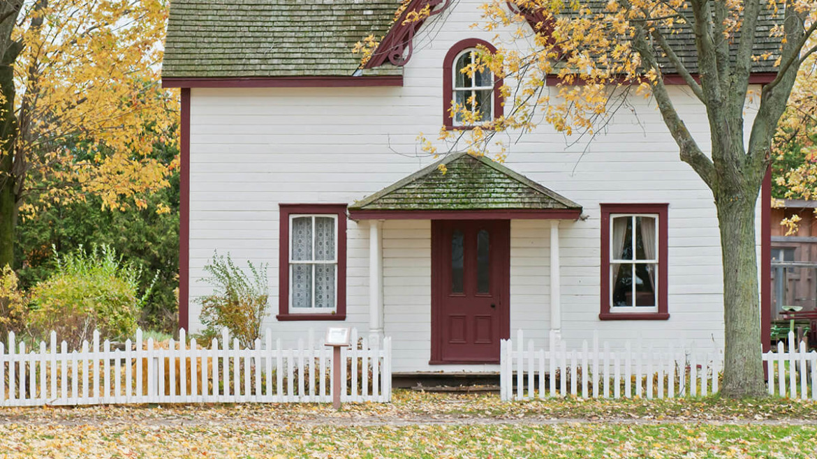 Breathe Easier: How Trees Naturally Purify the Air Around Your Home